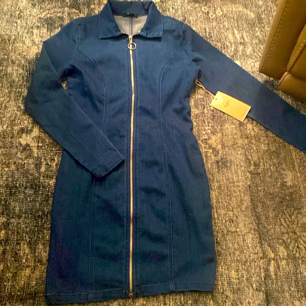 Blashe Denim Dress